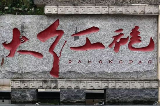 母樹大紅袍給誰喝了，為什么母樹大紅袍叫三棵六株？