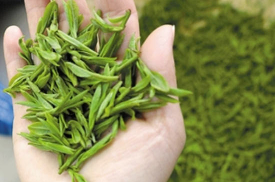 潮汕炒茶屬于什么茶，潮汕炒茶是綠茶嗎？