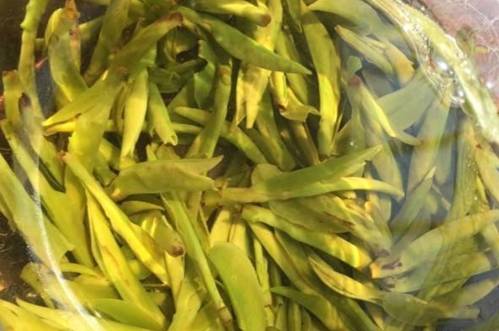 龍井是明前的好還是雨前的好，明前茶和雨前茶哪個(gè)好喝？