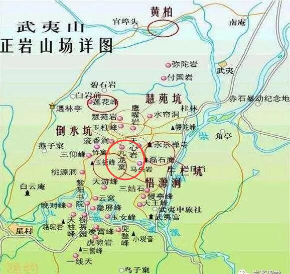 母樹大紅袍給誰喝了，為什么母樹大紅袍叫三棵六株？