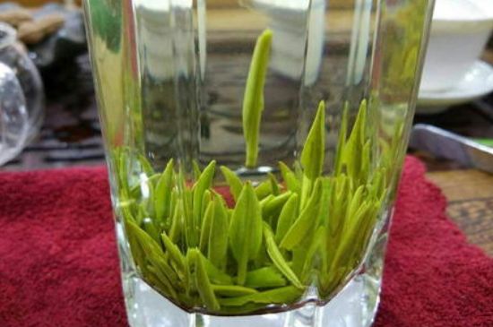 雀舌有一股青草味，雀舌為什么有青草味？