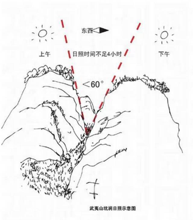 武夷山為什么盛產(chǎn)茶葉，武夷山茶為什么好喝？