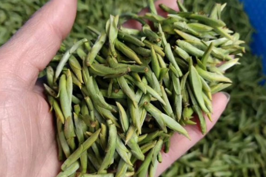 龍井茶好壞的鑒別圖片，如何區(qū)別龍井茶的好壞？