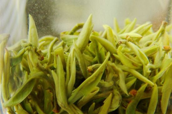 碧螺春為什么泡水渾濁，碧螺春茶葉泡水感覺很臟是混濁的