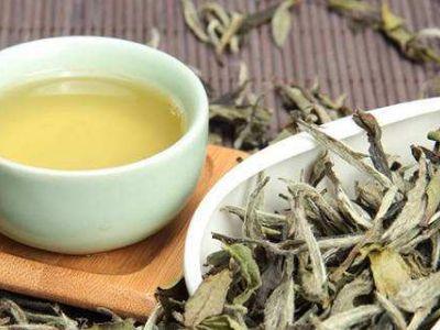 大紅袍好還是白茶好，福鼎白茶和大紅袍哪個貴？