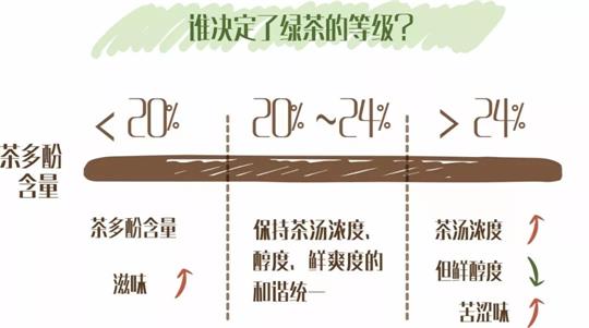 什么綠茶口味重口感濃郁，口味比較重的綠茶都有那些？