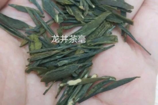 西湖龍井茶毫和發(fā)霉區(qū)別圖片，長霉的龍井茶葉會是什么樣？