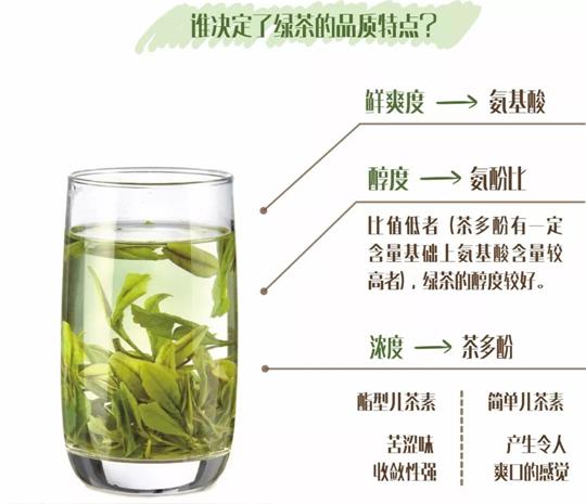 什么綠茶口味重口感濃郁，口味比較重的綠茶都有那些？