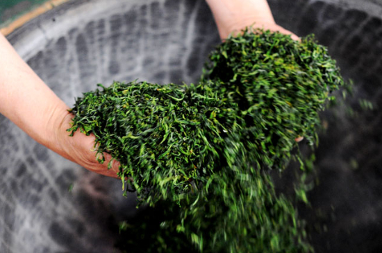 潮汕炒茶屬于什么茶，潮汕炒茶是綠茶嗎？