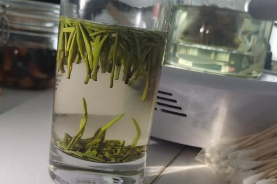 金壇雀舌算不算好茶，金壇雀舌屬于什么檔次茶葉？