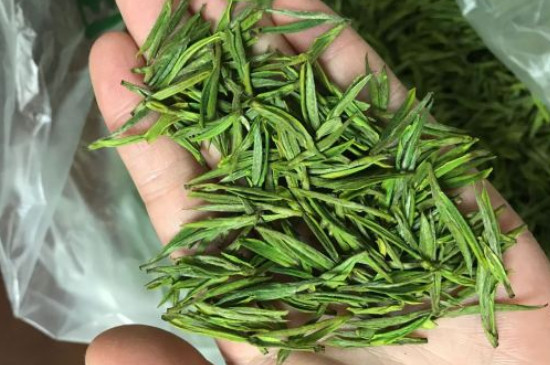 什么綠茶茶葉唇齒留香，哪個品種綠茶香氣好？