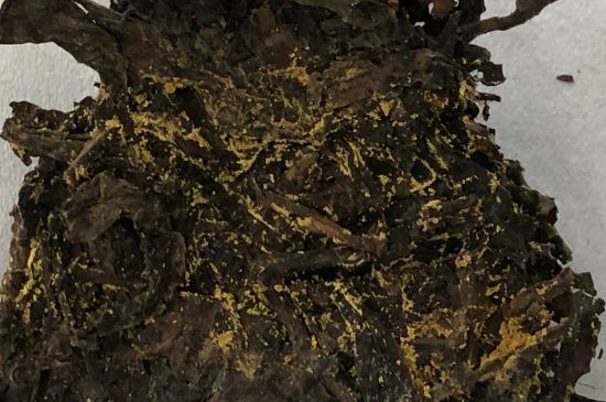 怎么知道涇渭茯茶是否變質(zhì)，茯磚茶金花和發(fā)霉的區(qū)別