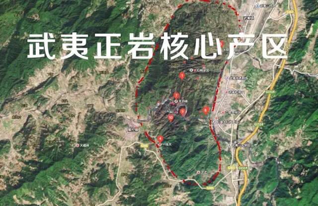 武夷山為什么盛產(chǎn)茶葉，武夷山茶為什么好喝？