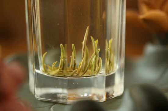 踏雪蘭妃是什么茶，踏雪蘭妃是哪里的茶葉?