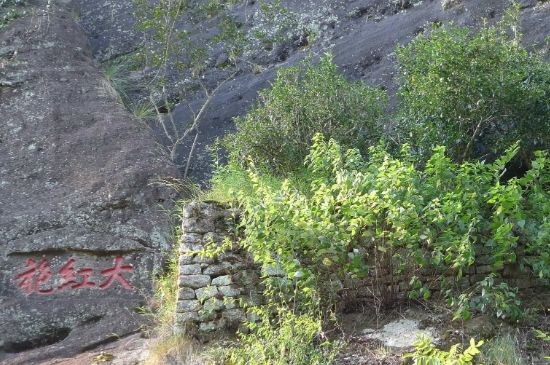 母樹大紅袍給誰喝了，為什么母樹大紅袍叫三棵六株？