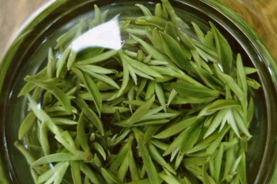 什么綠茶茶葉唇齒留香，哪個品種綠茶香氣好？
