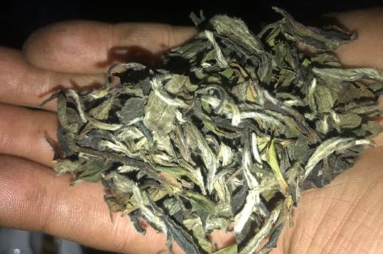 7年壽眉和2年白牡丹哪個好，老白茶壽眉與白牡丹的口感區(qū)別