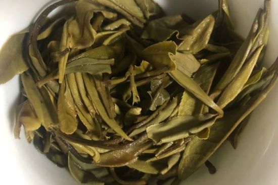 三年白茶賽砒霜，這是真的嗎？