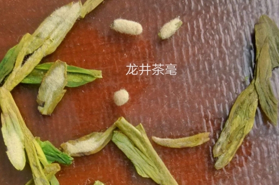 西湖龍井茶毫和發(fā)霉區(qū)別圖片，長霉的龍井茶葉會是什么樣？
