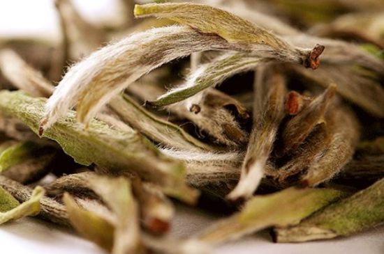 荒野銀針有什么特點(diǎn)，荒野銀針的味道口感咋樣？