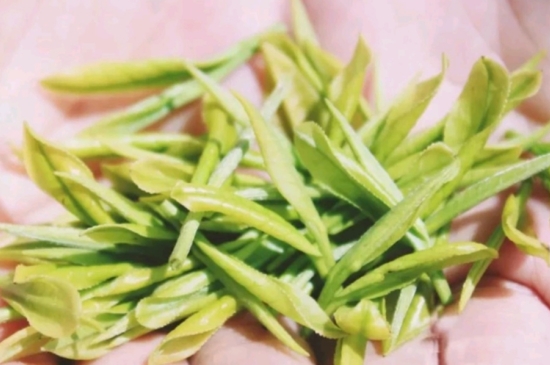 龍井是明前的好還是雨前的好，明前茶和雨前茶哪個(gè)好喝？