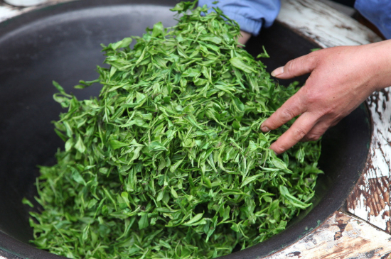潮汕炒茶屬于什么茶，潮汕炒茶是綠茶嗎？