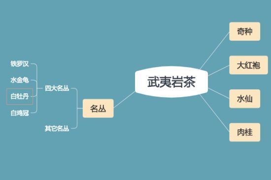 武夷巖茶品種大全，巖茶有幾種？