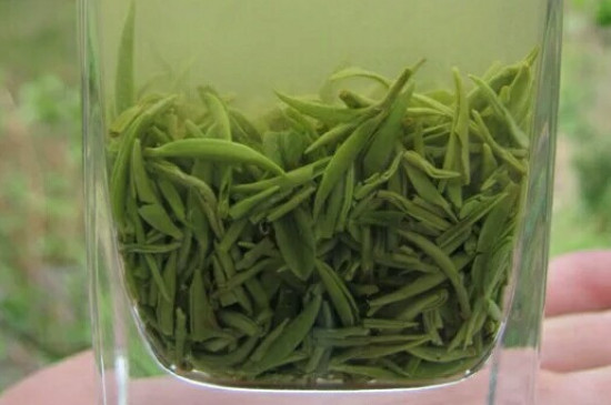 什么綠茶茶葉唇齒留香，哪個品種綠茶香氣好？