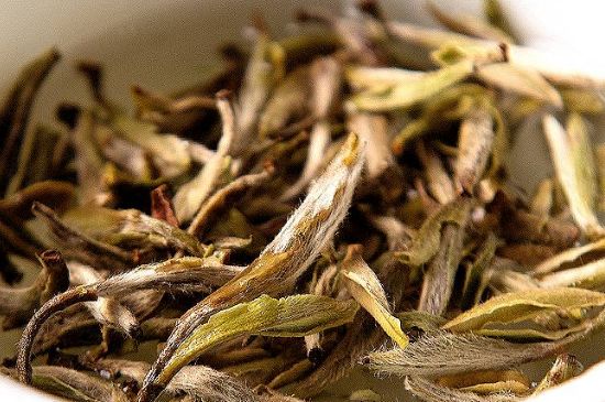 荒野銀針市場(chǎng)價(jià)多少，真正的荒野白毫銀針多少錢？