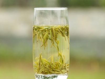 霍山黃芽算是好茶嗎，霍山黃芽屬于什么茶？
