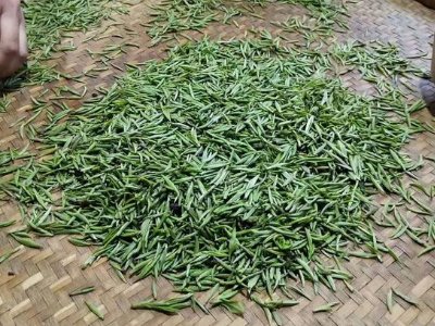 金駿眉幾年可以算陳茶，金駿眉新茶好還是老茶