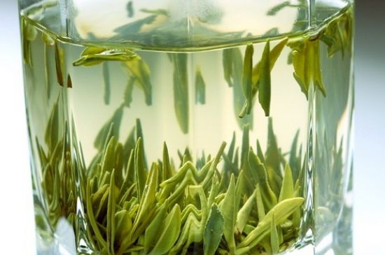竹葉青和雀舌哪個貴，竹葉青茶貴嗎？