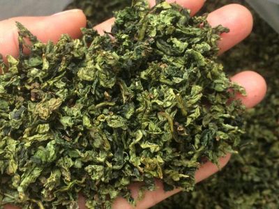 鐵觀音毛茶茶梗可以泡水喝嗎，鐵觀音帶梗是不是好茶？