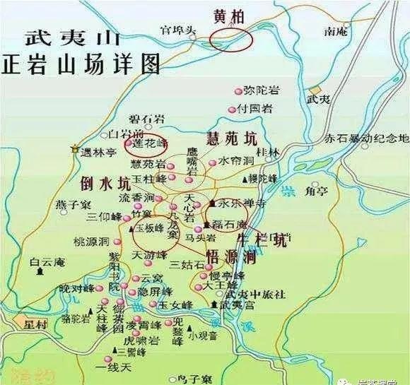 300塊錢的金駿眉能喝嗎，兩三百多金駿眉和一千多區(qū)別