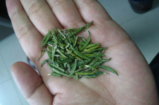竹葉青茶怎么泡，竹葉青如何沖泡