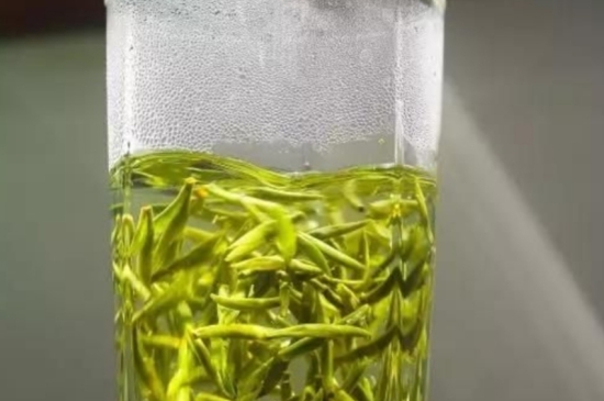 西湖龍井茶毫和發(fā)霉區(qū)別圖片，長霉的龍井茶葉會是什么樣？