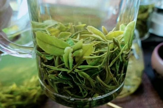 什么綠茶味道濃香，那個(gè)綠茶比較濃香？