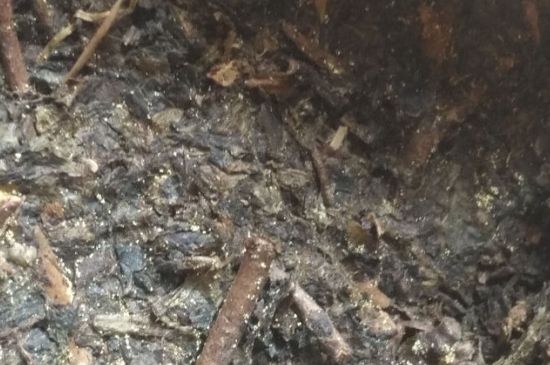 黑茶茯茶保存五大忌，茯茶收藏的注意事項(xiàng)