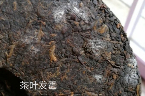 西湖龍井茶毫和發(fā)霉區(qū)別圖片，長霉的龍井茶葉會是什么樣？